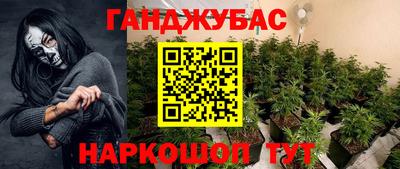 стаф Будённовск
