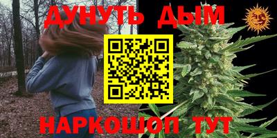 стаф Будённовск