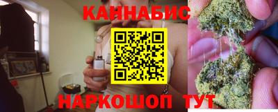стаф Будённовск