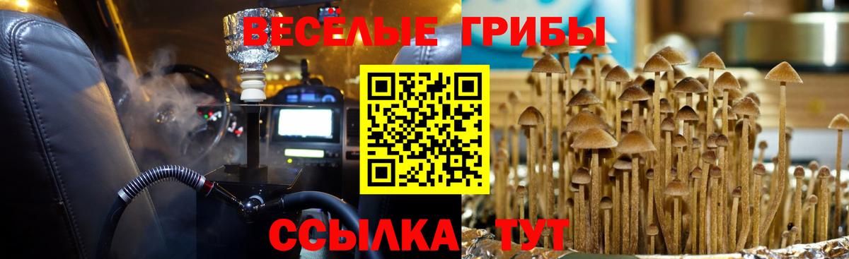 Северобайкальск  Галлюциногенные грибы мухоморы  Вход с VPN 